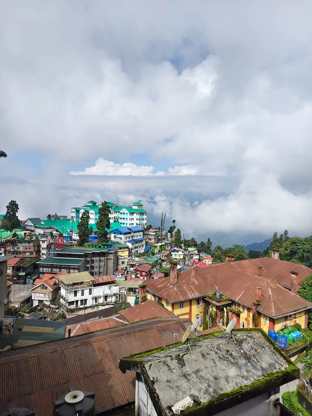 Executive Mountain View - Darjeeling Valley & Mountain Window