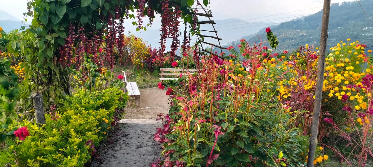 Lungsu Kanchan View Homestay - Scenic Floral Pergola Overlooking the Valley