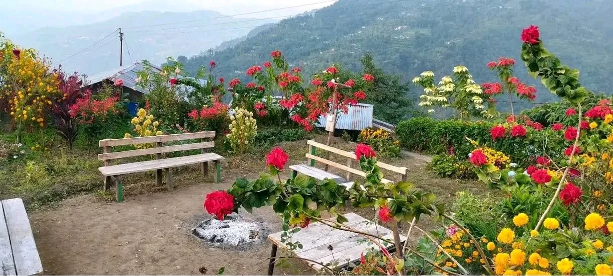 Lungsu Kanchan View Homestay - Garden Viewpoint Benches Facing Himalayan Peaks