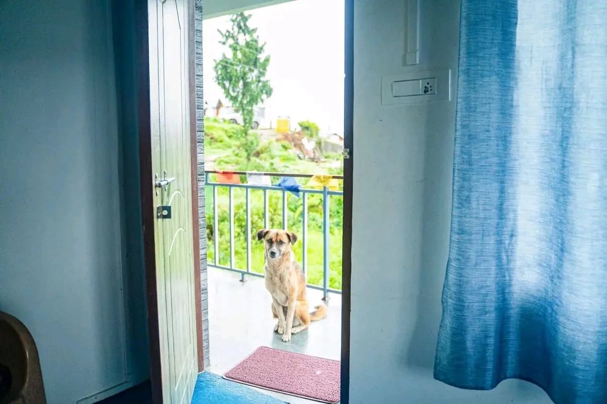Red Roof Homestay Resort - Balcony Doorway Overlooking Mountain Ridge