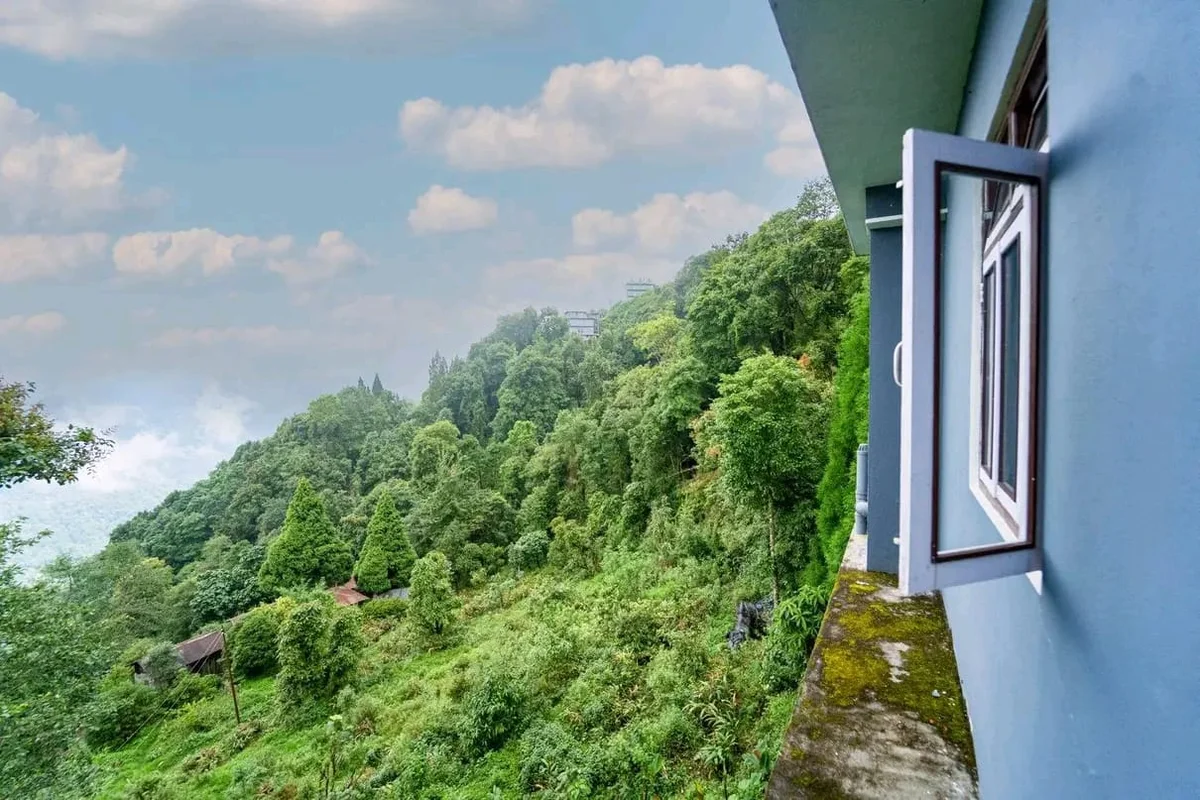 Red Roof Homestay Resort - Pine Forest Valley Scenery