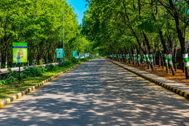 Green Belt